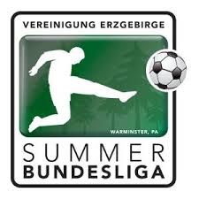 2021 Summer  Bundesliga